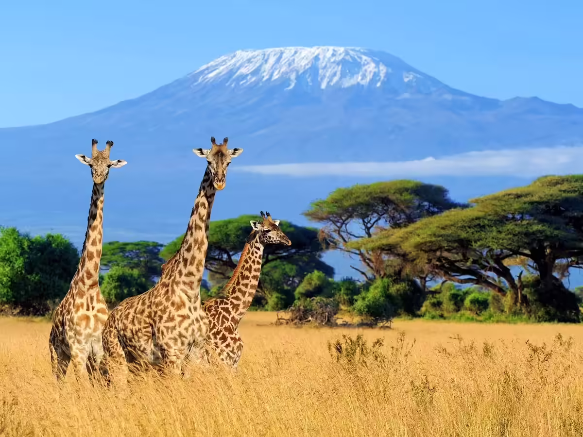 Kenya